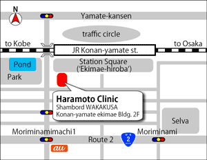 地図大