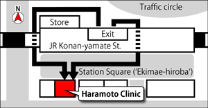 ACCESS MAP